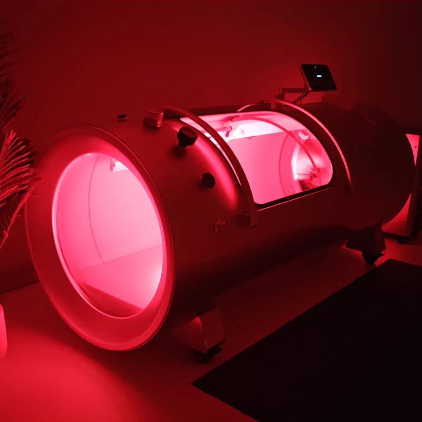 LONGEVITY & BEAUTY FROM WITHIN