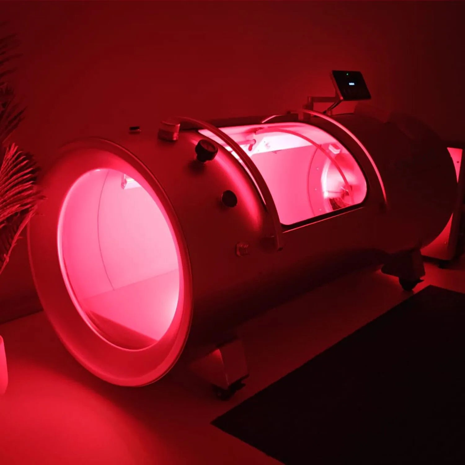 LONGEVITY & BEAUTY FROM WITHIN